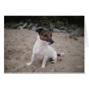 Search for hunde Tier