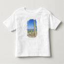 Search for mulege Landscape