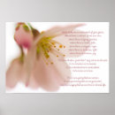 Search for st francis of assisi prayer Pink