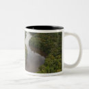 Search for guyana mugs Rainforest