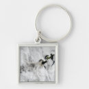 Search for volcano key rings Ocean