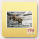 Search for bite coasters I can has cheezburger