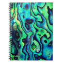 Search for seashell birthday Green