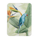 Search for tropical rectangular magnets Orange