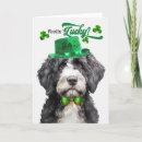 Search for portuguese water dog cards Dogs