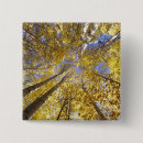 Search for pacific northwest badges Autumn