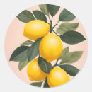 Search for lemon leaves stickers Fruits