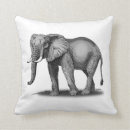 Search for african grey cushions Wildlife