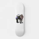 Search for primate skateboards Mandrill
