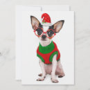 Search for pampered pets postcards Spain