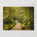 Search for island nation postcards New zealand