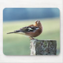Search for finches mousepads Cute