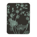 Search for study magnets Florals