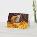 Search for sweet halloween cards Cat