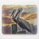 Search for sea bird mousepads Beach