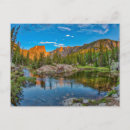 Search for danita delimont postcards Pine tree