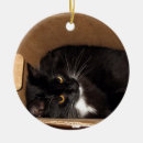 Search for tux kitty Whimsical