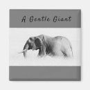 Search for giant magnets Wildlife