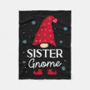Search for garden gnome Fun