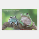 Search for frogs stickers Nature