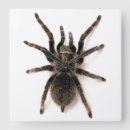 Search for scary halloween clocks Spider