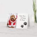 Search for paws christmas cards Xmas