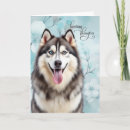 Search for dog get well cards Feel better soon