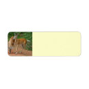 Search for deer hunting return address labels Stag