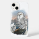 Search for ornithology electronics Owl