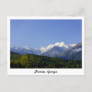 Search for tourists postcards Souvenir