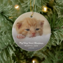 Search for cat christmas decor Picture