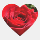 Search for red rose flowers stickers Nature