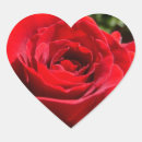 Search for red rose flowers stickers Nature