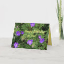 Search for original photo cards Flowers