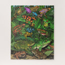 Search for darts puzzles Frog