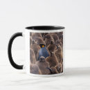 Search for king penguin mugs Nature