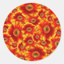 Search for gerber stickers Gerbera