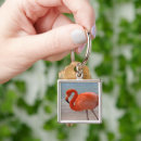Search for flamingo bird key rings Sea