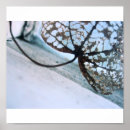 Search for mottle posters Photography