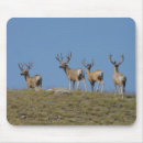 Search for mule deer mousepads Outdoors