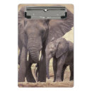 Search for environment clipboards Habitat
