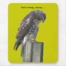 Search for falcon mousepads Bird of prey