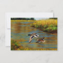 Search for mallard bird invitations Waterfowl