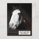 Search for love horses postcards Equestrian