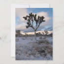 Search for joshua tree invitations California