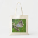 Search for common bags Insect