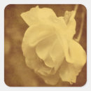 Search for worn stickers Vintage