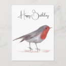 Search for robin watercolor cards Wildlife