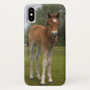 Search for baby horse iphone cases Colt