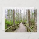 Search for swamp cards Nature